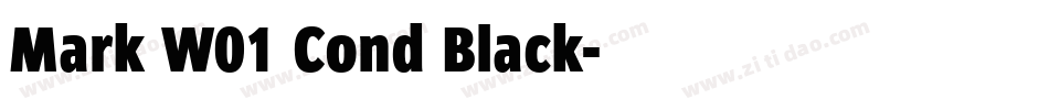 Mark W01 Cond Black字体转换